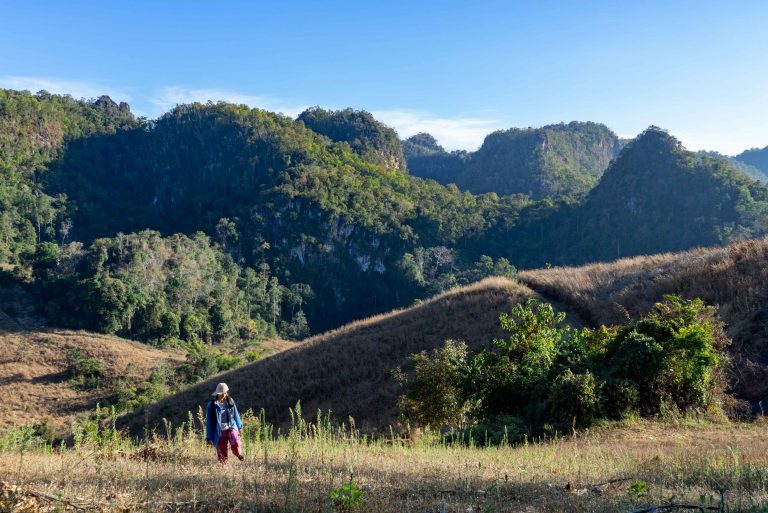 Explore the wilderness